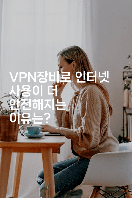 VPN장비로 인터넷 사용이 더 안전해지는 이유는?2-지니지니