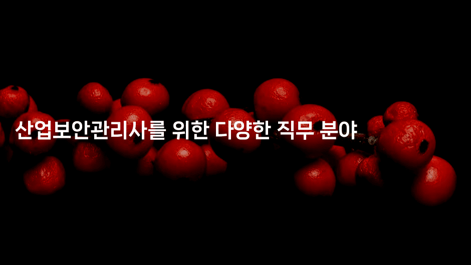 산업보안관리사를 위한 다양한 직무 분야 2-지니지니