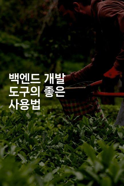 백엔드 개발 도구의 좋은 사용법2-지니지니