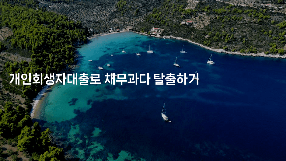 개인회생자대출로 채무과다 탈출하기-지니지니