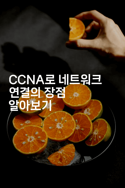 CCNA로 네트워크 연결의 장점 알아보기2-지니지니