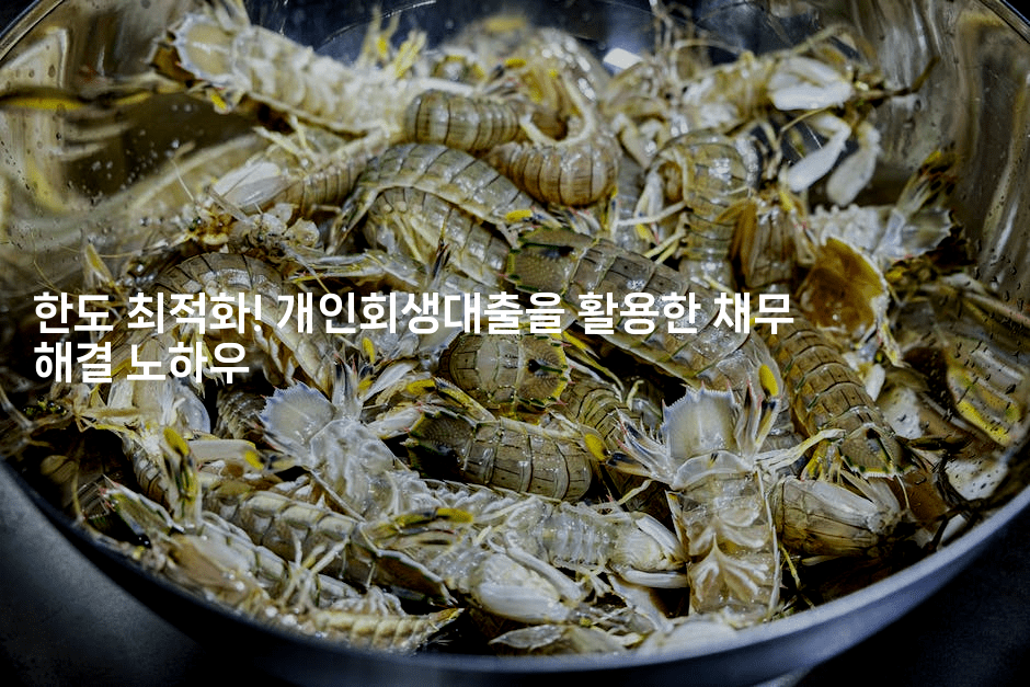 한도 최적화! 개인회생대출을 활용한 채무 해결 노하우