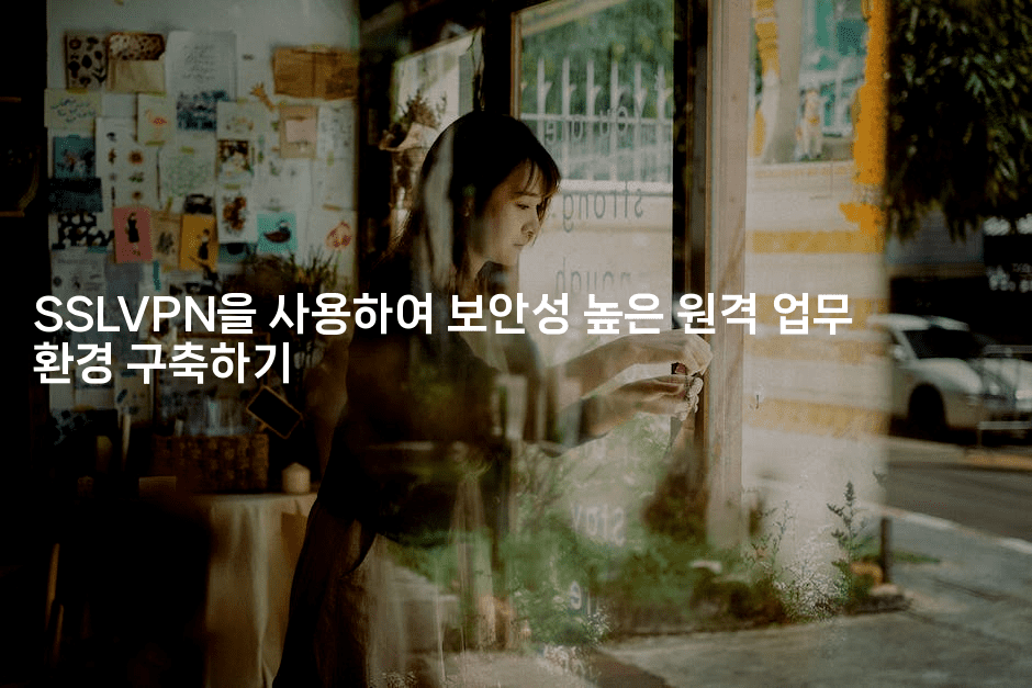 SSLVPN을 사용하여 보안성 높은 원격 업무 환경 구축하기-지니지니