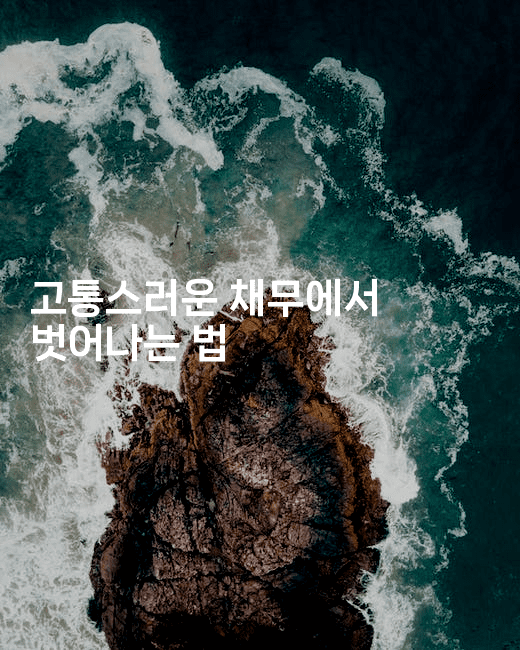 고통스러운 채무에서 벗어나는 법-지니지니