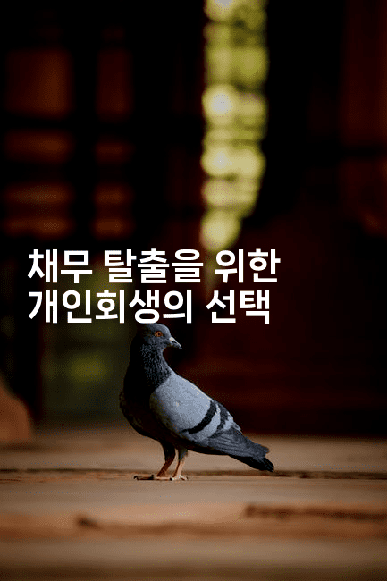 채무 탈출을 위한 개인회생의 선택