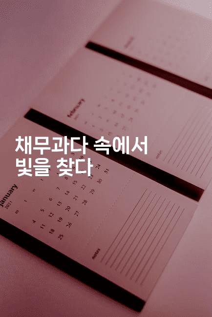 채무과다 속에서 빛을 찾다