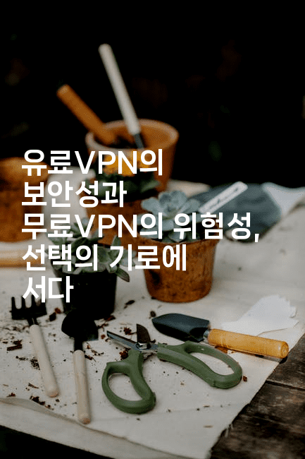 유료VPN의 보안성과 무료VPN의 위험성, 선택의 기로에 서다