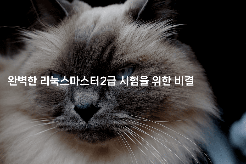 완벽한 리눅스마스터2급 시험을 위한 비결