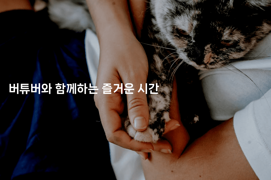 버튜버와 함께하는 즐거운 시간