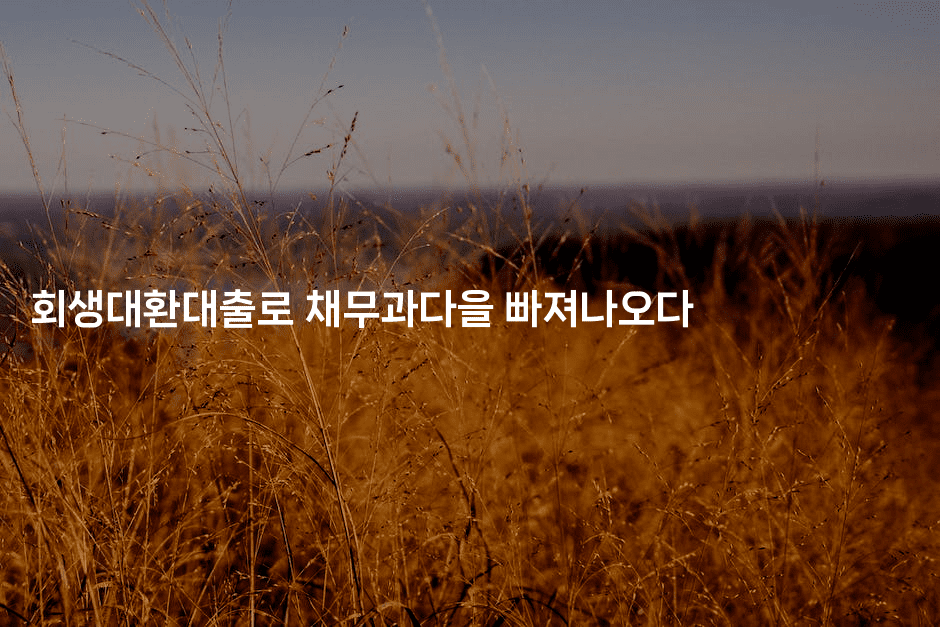 회생대환대출로 채무과다을 빠져나오다-지니지니