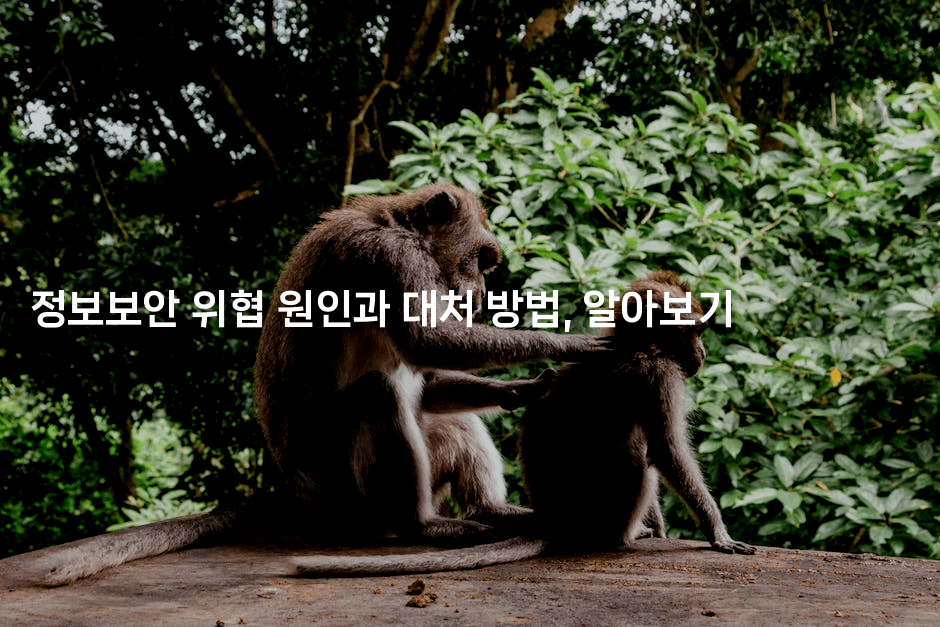 정보보안 위협 원인과 대처 방법, 알아보기-지니지니