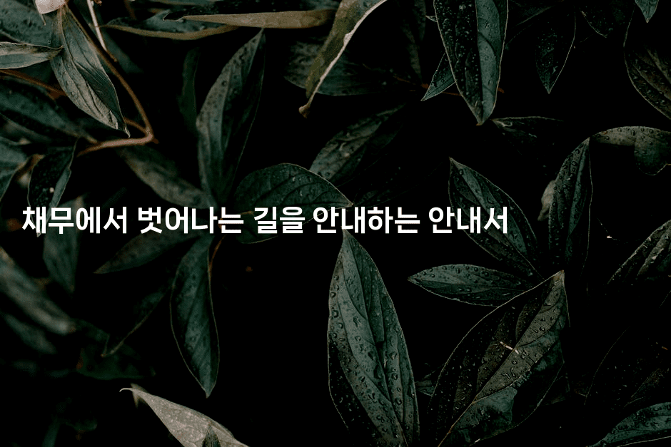 채무에서 벗어나는 길을 안내하는 안내서-지니지니