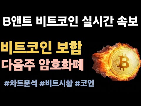 [실시간 LIVE] 비트코인 94K! / 9만 2천 달러 지지 vs 10만 달러 저항  #비트코인실시간 #이더리움 #리플 #솔라나 #스텔라루멘