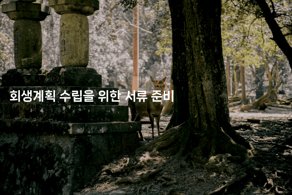 회생계획 수립을 위한 서류 준비