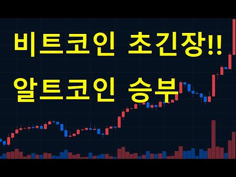 비트코인 초긴장 및 알트코인 결과