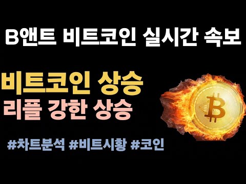 [실시간 LIVE] 비트코인 94K! / 비트코인 $95K 반납, 리플은 급등–암호화폐 시장 혼조세.  #비트코인실시간 #이더리움 #리플 #솔라나 #스텔라루멘