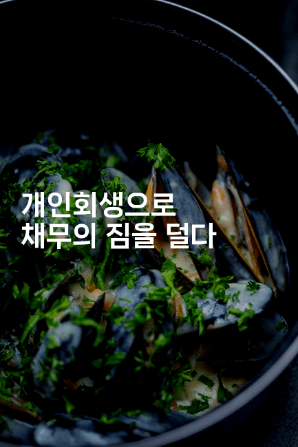 개인회생으로 채무의 짐을 덜다-지니지니